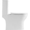 Унитаз-моноблок BELBAGNO LOUNGE с сиденьем дюропласт soft close, P-trap BB8618CPR-MN/SC